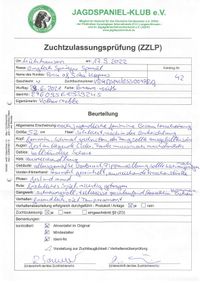 ZZLP Beurteilung